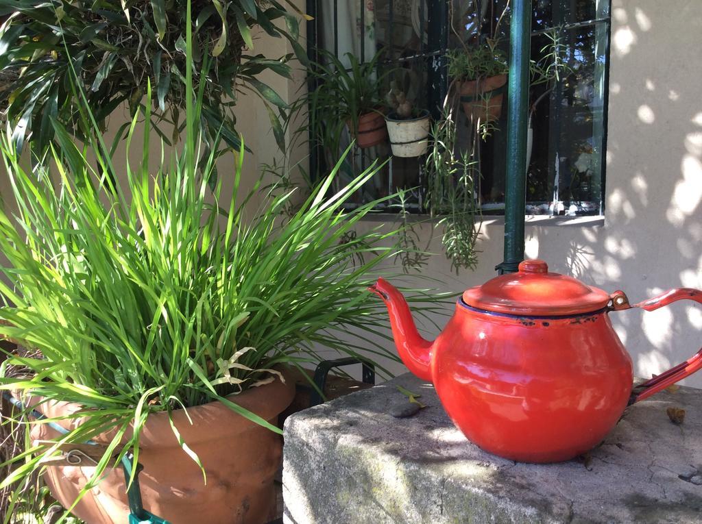 Casa Ruchi 1893 Bed & Breakfast Tigre Dış mekan fotoğraf
