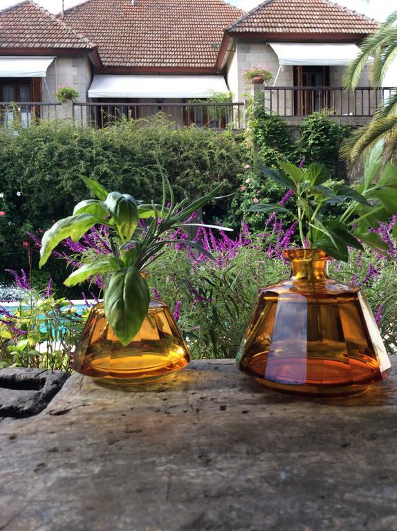 Casa Ruchi 1893 Bed & Breakfast Tigre Dış mekan fotoğraf