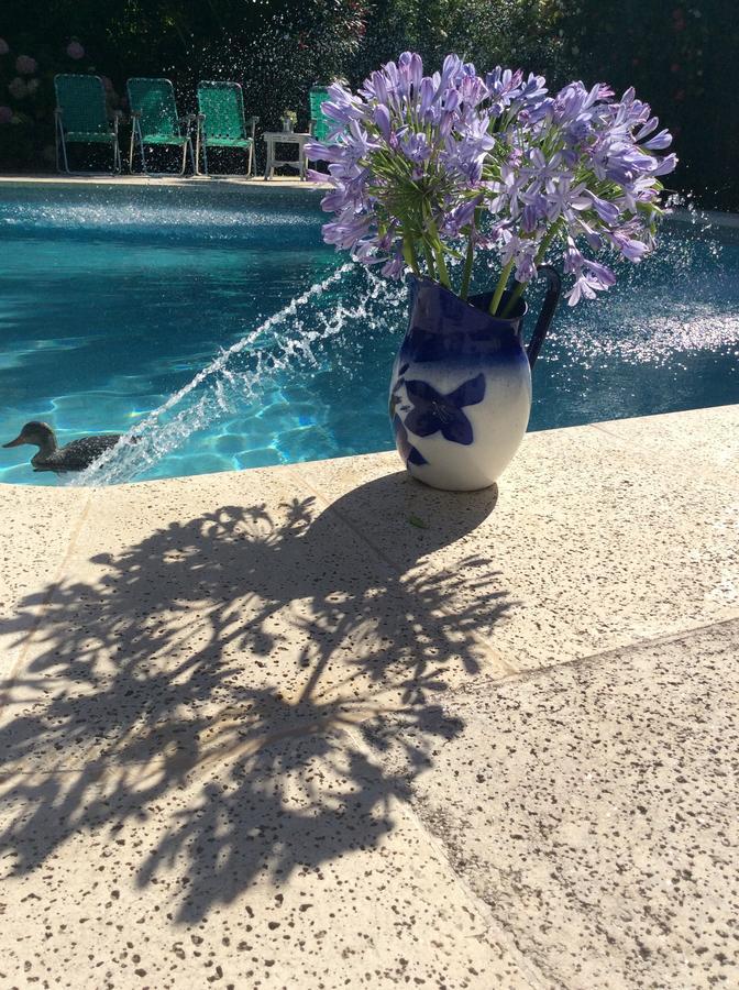 Casa Ruchi 1893 Bed & Breakfast Tigre Dış mekan fotoğraf