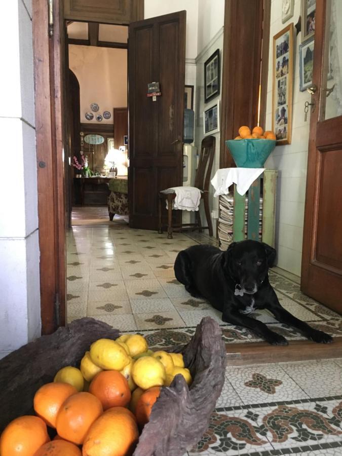 Casa Ruchi 1893 Bed & Breakfast Tigre Dış mekan fotoğraf